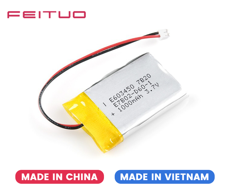 Batterie Li-ion 3,7 V 1000 mAh